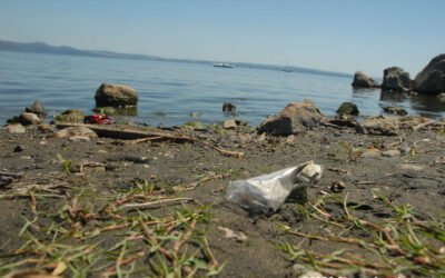 Microplastica nel Lago