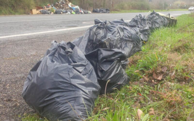 Brutti, sporchi e cattivi