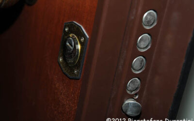 Topi d’appartamento